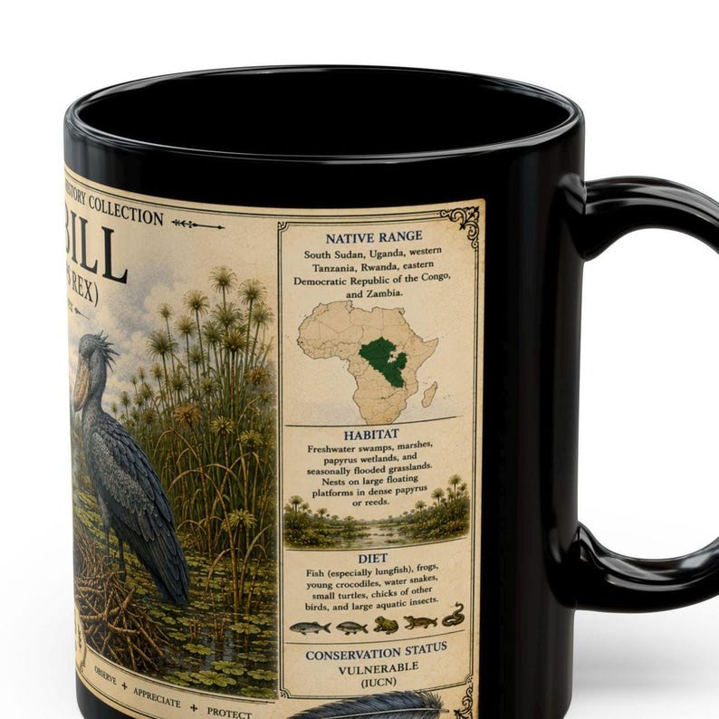 Shoebill Mug 15 oz Black Ceramic Cup with Vintage Natural History Bird Art image 4