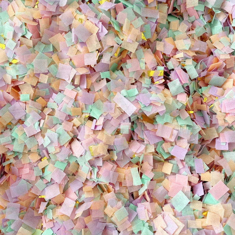 Pastel Confetti/ Tissue Confetti/Pink Confetti/ Party Confetti/ Gold Confetti/ Unicorn Party/ Ice Cream Theme/ Pastel Rainbow Confetti image 8