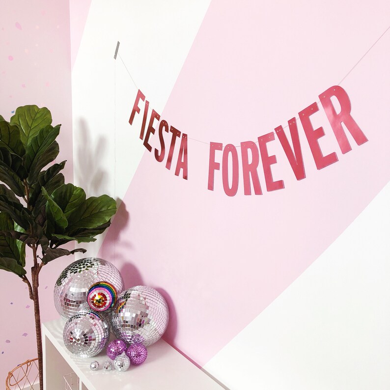Bachelorette Party Supplies Cheers Bitches Wall Banner Birthday Bride Pink Foil