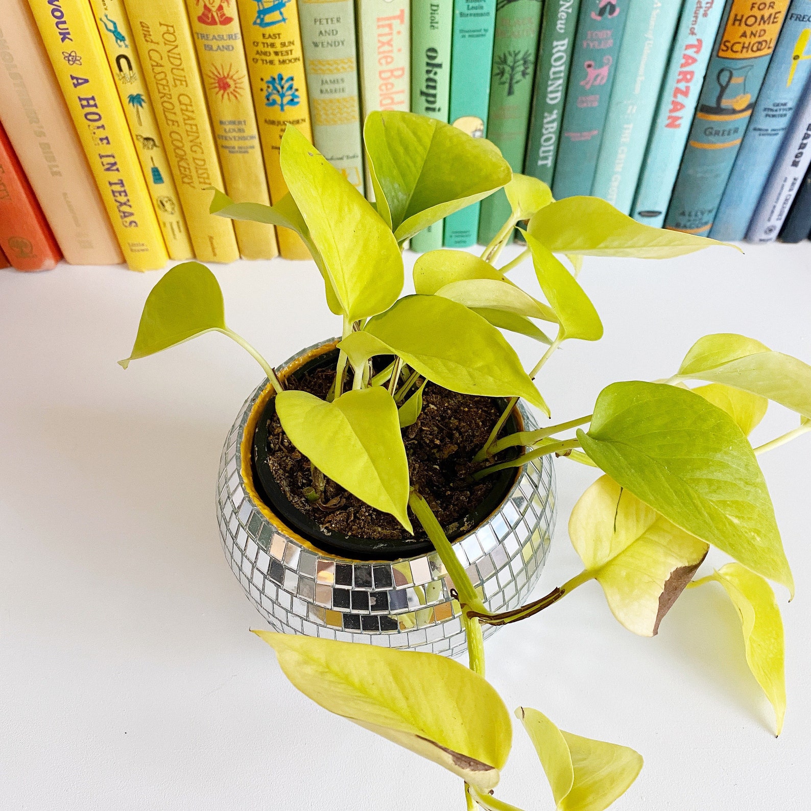 Pink disco ball planter