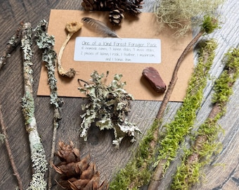 Medium Forest Forage Pack: Moss, Lichen, Cones, Mushroom, Feather - Fairy Garden Supplies