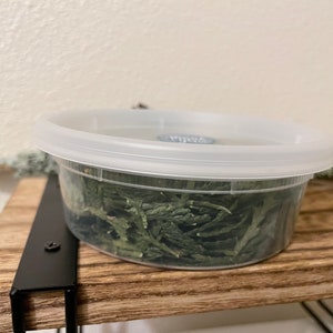 May include: A clear plastic container with a white lid, filled with dried green leaves. The container sits on a wooden shelf supported by a black metal bracket. A small glass jar is visible to the right.