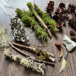 May include: An assortment of natural elements, including green moss-covered twigs, small pine cones, a mushroom, a rock, and a feather with yellow and black markings, arranged on a wooden surface. The items are likely for crafting or decorative purposes.
