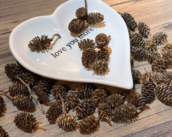 50 mini piñas de aliso: semillas naturales diminutas para jardines de hadas y manualidades.