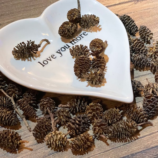 50 natural Mini alder small cones seeds for DIY crafts terrariums fairy garden wedding decor jewelry etc