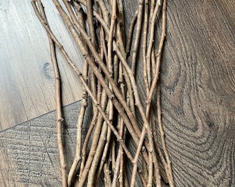 20 ramitas de cedro rojo occidental: Thuja Plicata para manualidades y decoración