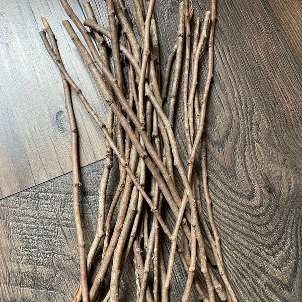 20 piece ~ Beautiful Thuja Plicata Western redcedar red cedar sticks twigs PNW great for decoration crafts floral arrangements DIY projects