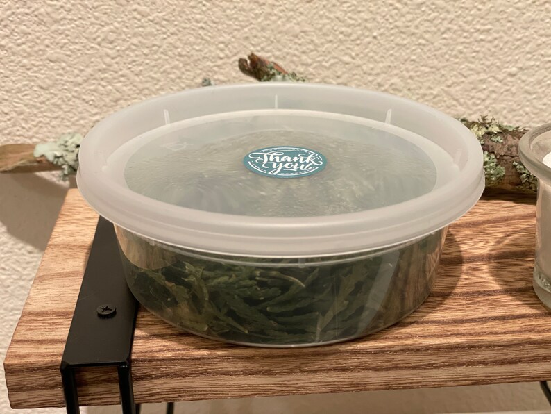 May include: A clear plastic container with a white lid, filled with green dried leaves. A small blue and white sticker on the lid reads "Thank you". The container sits on a wooden shelf with black metal supports.