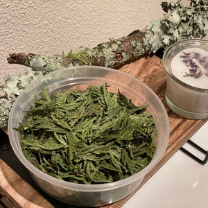 May include: A clear plastic container filled with dried green cedar leaves. A small glass candle holder with a white candle and lavender sprigs sits nearby on a wooden shelf. A branch with lichen is in the background.