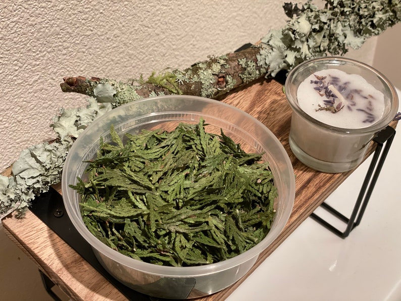 May include: A clear plastic container filled with dried green cedar leaves. A small glass candle holder with a white candle and lavender sprigs sits nearby on a wooden shelf. A branch with lichen is in the background.