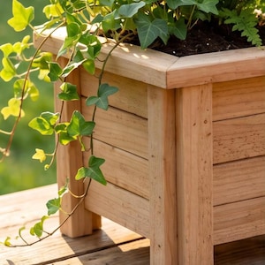 May include: A square wooden planter box with a natural light brown finish, featuring vertical corner posts and horizontal side slats. The planter is filled with green fern fronds and trailing ivy vines that spill over the side edges.