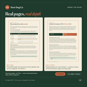 K&ouml;nnte beinhalten: Eine dunkelgr&uuml;ne Informationsgrafik mit dem Titel New Dog Co: Real pages, real depth. Sie zeigt zwei Seiten eines Welpenpflege-Leitfadens mit einem Impf- und Tierarzt-Besuchskalender, F&uuml;tterungsgrundlagen und der Blutzuckerregel mit Text und Tabellen.