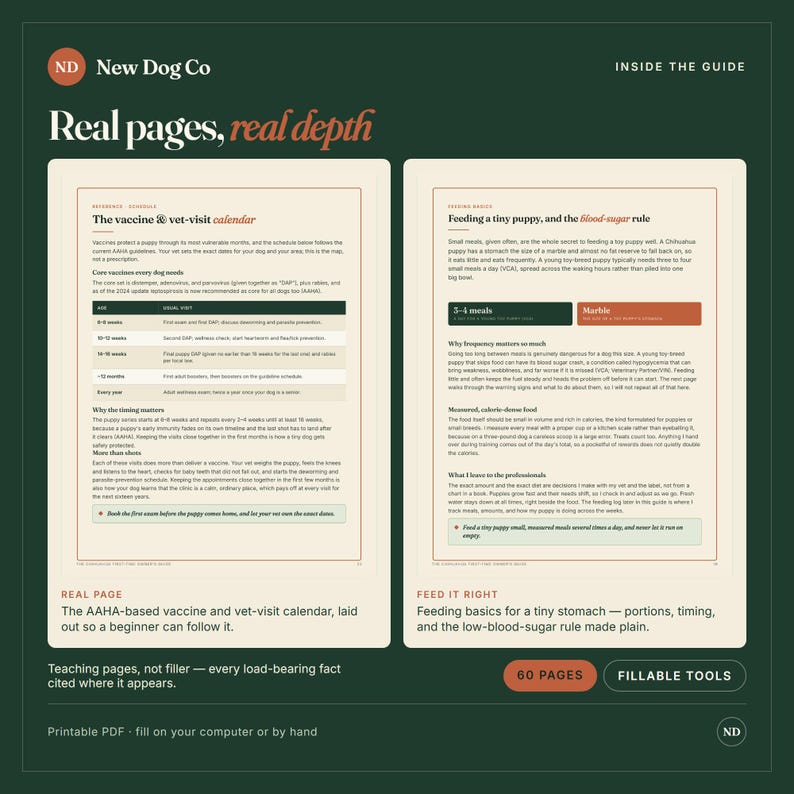 K&ouml;nnte beinhalten: Eine dunkelgr&uuml;ne Informationsgrafik mit dem Titel New Dog Co: Real pages, real depth. Sie zeigt zwei Seiten eines Welpenpflege-Leitfadens mit einem Impf- und Tierarzt-Besuchskalender, F&uuml;tterungsgrundlagen und der Blutzuckerregel mit Text und Tabellen.