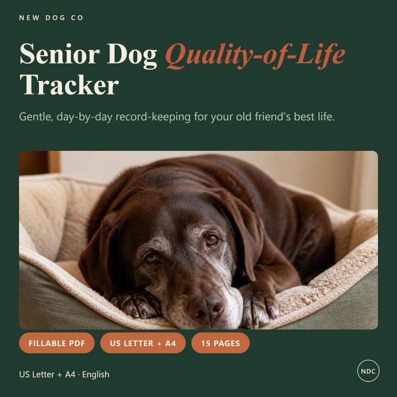 May include: A digital Senior Dog Quality-of-Life Tracker document featuring a brown dog resting in a bed. The text reads New Dog Co, Senior Dog Quality-of-Life Tracker, Gentle, day-by-day record-keeping for your old friend's best life, Fillable PDF, US Letter + A4, 15 Pages, US Letter + A4 English, and NDC.