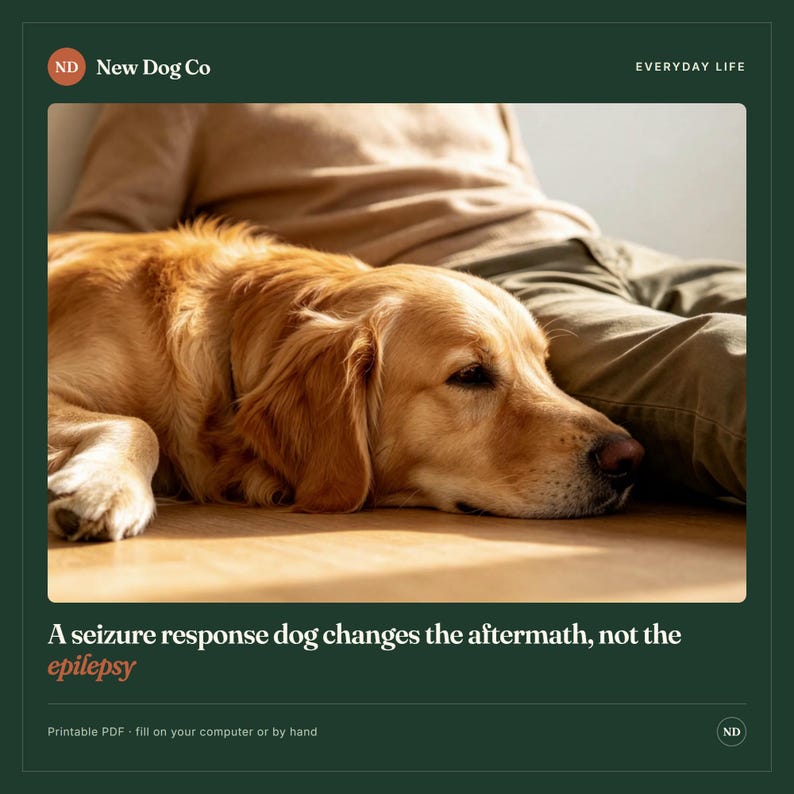 Leitfaden & Planer für die Ausbildung von Assistenzhunden | Medizinischer Warnhund für Epilepsie-Warnhunde | Aufgabenbuch für Halter und Trainer + Ausfüllbares Protokoll | Von Tierärzten erstelltes PDF Bild 8