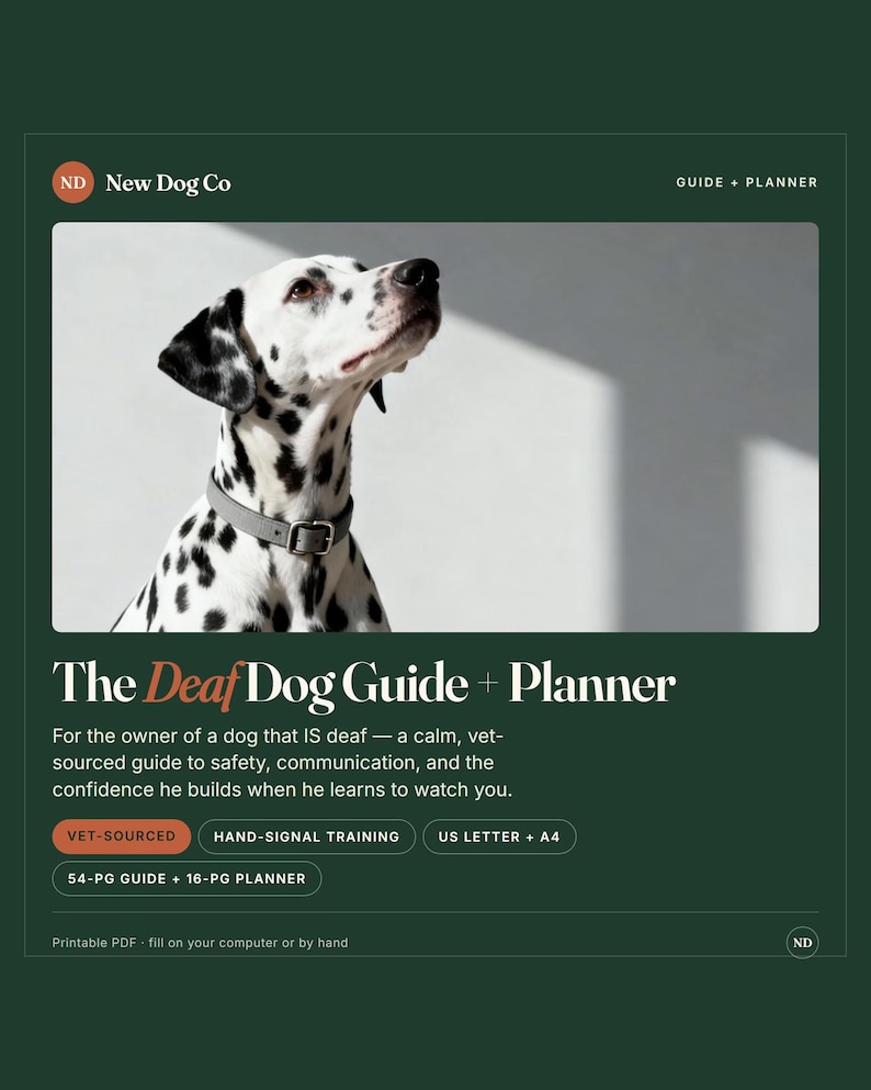 May include: A digital guide and planner titled The Deaf Dog Guide + Planner by New Dog Co. The cover features a white and black spotted Dalmatian wearing a grey collar. Text includes Vet-Sourced, Hand-Signal Training, US Letter + A4, and 54-pg guide + 16-pg planner.