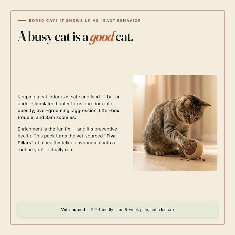 以下が含まれることがあります： 「Bored cat? It shows up as "bad" behavior. A busy cat is a good cat.」というテキストが記載されたベージュのインフォグラフィック。茶色のトラ猫が、小さくて丸いベージュと黄色のトリーツディスペンサーのおもちゃで遊んでいる写真が含まれています。