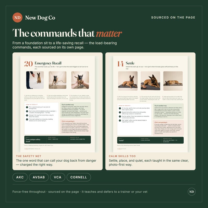 Op de afbeelding: Een donkergroene informatieposter getiteld The commands that matter van New Dog Co. Het bevat twee instructiegidsen voor hondentraining, Emergency Recall en Settle, met stapsgewijze tekst, genummerde lijsten en foto's van een hond.