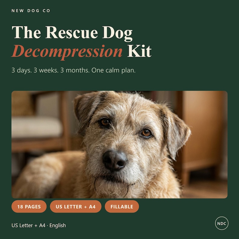 Op de afbeelding: Een digitale gids getiteld The Rescue Dog Decompression Kit met de tekst 3 days. 3 weeks. 3 months. One calm plan. De afbeelding toont een ruwharige beige hond en bevat labels voor 18 pagina's, US Letter + A4 en invulbare opties.