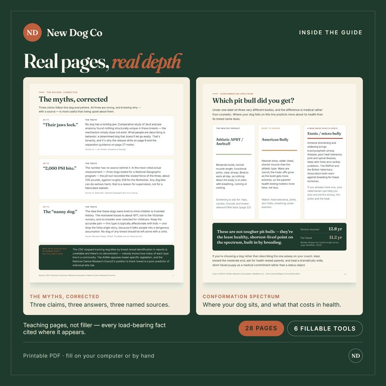 May include: A digital guide titled New Dog Co featuring two pages of text. The left page addresses myths about dog jaws and bites. The right page outlines a conformation spectrum for pit bull types with health data and a 12.8-year lifespan note.