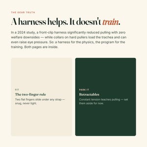 May include: An informational graphic titled The Gear Truth with the text A harness helps. It doesn't train. It includes a 2024 study summary, a section on the two-finger rule for fit, and a section titled Park It regarding retractable leashes.