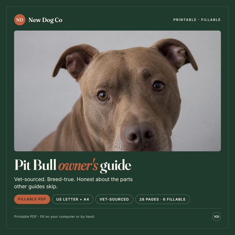 May include: A digital Pit Bull owner's guide featuring a brown dog portrait. The document includes text: New Dog Co, Printable, Fillable, Pit Bull owner's guide, Vet-sourced, Breed-true, Honest about the parts other guides skip, US Letter + A4.