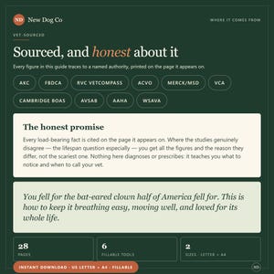K&ouml;nnte beinhalten: Ein dunkelgr&uuml;nes Informationsdokument mit dem Titel New Dog Co Sourced, and honest about it. Es enth&auml;lt Text &uuml;ber tier&auml;rztliche Daten, eine Liste von Beh&ouml;rden wie AKC und AAHA, den Abschnitt The honest promise sowie Details: 28 Seiten, 6 Tools.