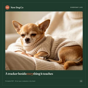 K&ouml;nnte beinhalten: Ein kleiner hellbrauner und wei&szlig;er Chihuahua-Hund, der einen beigen, gerippten Strickpullover tr&auml;gt. Der Hund hat die Augen geschlossen und ruht sich aus. Das Bild enth&auml;lt den Text New Dog Co, EVERYDAY LIFE und A tracker besideeverything it teaches.