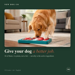 May include: A golden retriever interacts with a rectangular teal puzzle toy featuring red circular compartments. The dog uses its nose and paws to manipulate the sliding pieces on the flat surface. The text NEW DOG CO and Give your dog a better job appear.