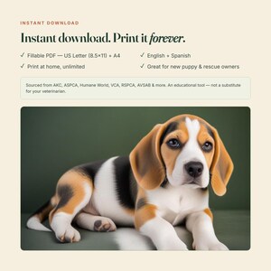 May include: A digital download featuring a tricolor beagle puppy with brown, black, and white fur. The text reads: Instant download. Print it forever. Fillable PDF - US Letter (8.5x11) + A4. English + Spanish. Print at home, unlimited.