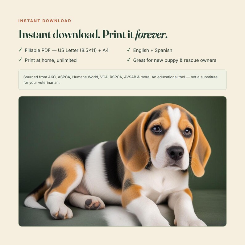 May include: A digital download featuring a tricolor beagle puppy with brown, black, and white fur. The text reads: Instant download. Print it forever. Fillable PDF - US Letter (8.5x11) + A4. English + Spanish. Print at home, unlimited.