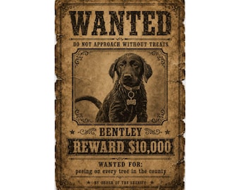 Aangepaste poster huisdier gezocht, portret western outlaw, print grappige cowboyhond, kunst aan de muur