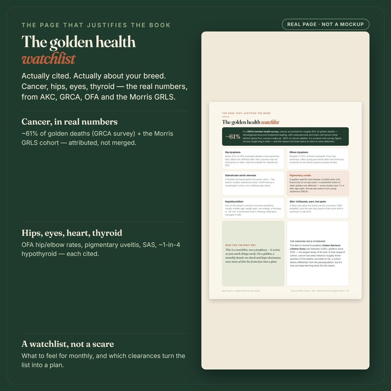 Puede incluir: Una p&aacute;gina impresa titulada The golden health watchlist, que presenta estad&iacute;sticas m&eacute;dicas detalladas para Golden Retrievers. El documento incluye secciones sobre c&aacute;ncer, displasia de cadera, displasia de codo, estenosis a&oacute;rtica, uve&iacute;tis e hipotiroidismo.