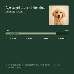 May include: A dark green infographic titled Age-staged to the window that actually matters, featuring a photo of a golden puppy. It includes a progress bar labelled the window closes, week ranges from 3 wk to 16 wk, and the text Every exposure tracked across the right week bands &mdash; race the clock, don't guess.