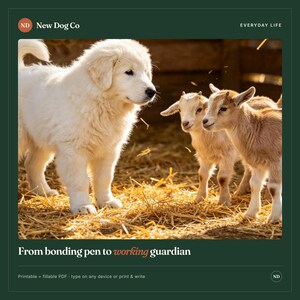 May include: A white fluffy puppy stands on straw next to two light brown baby goats. The text reads New Dog Co, Everyday Life, and From bonding pen to working guardian. The document is a printable and fillable PDF for use on any device.