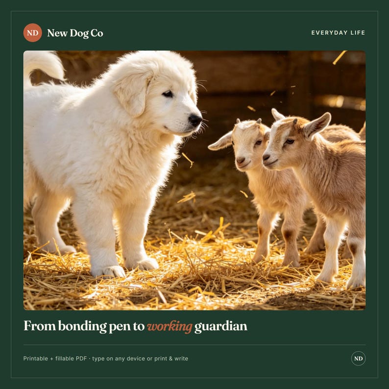 May include: A white fluffy puppy stands on straw next to two light brown baby goats. The text reads New Dog Co, Everyday Life, and From bonding pen to working guardian. The document is a printable and fillable PDF for use on any device.