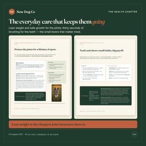 May include: A two-page informational document titled The Health Chapter by New Dog Co. The text covers canine joint and dental care, featuring sections on hip dysplasia, cranial cruciate ligament, and daily brushing habits with a photo of a dog.