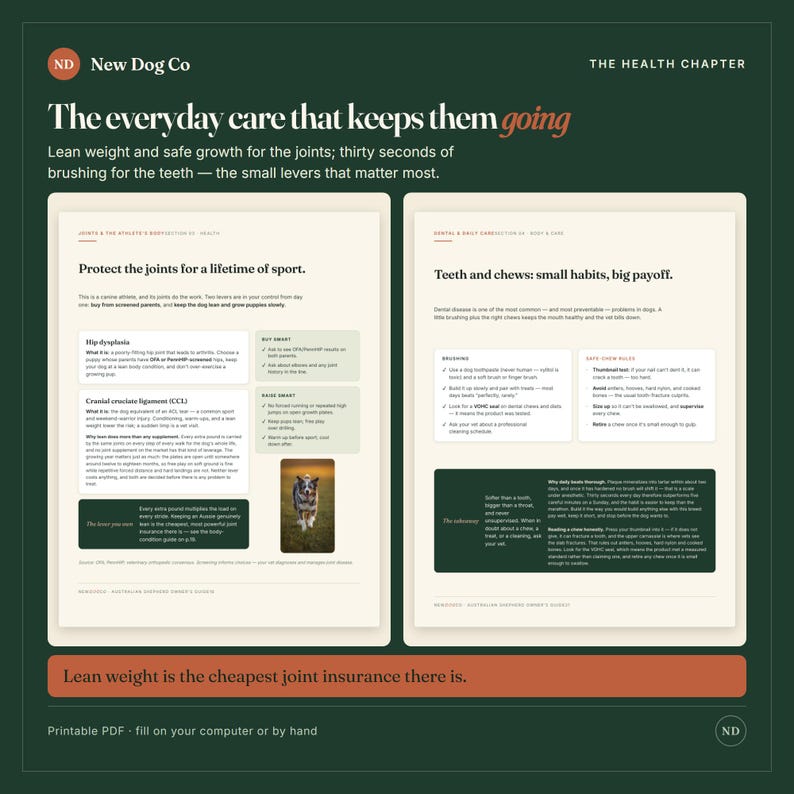 May include: A two-page informational document titled The Health Chapter by New Dog Co. The text covers canine joint and dental care, featuring sections on hip dysplasia, cranial cruciate ligament, and daily brushing habits with a photo of a dog.