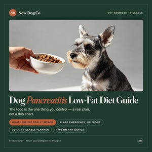 Może przedstawiać: Cyfrowy przewodnik zatytułowany Dog Pancreatitis Low-Fat Diet Guide od New Dog Co. Okładka przedstawia sznaucera patrzącego na białą miskę z suchą karmą. Zawiera sekcje dotyczące definicji, plan&oacute;w awaryjnych oraz wypełnialny planer.