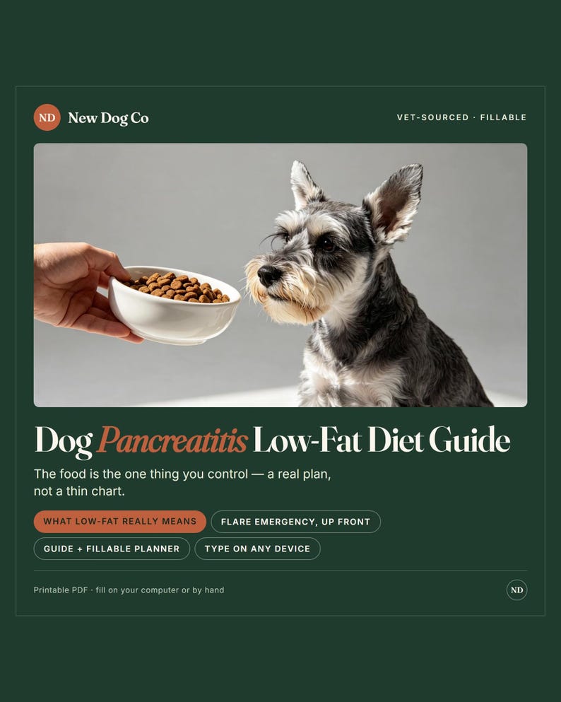 Może przedstawiać: Cyfrowy przewodnik zatytułowany Dog Pancreatitis Low-Fat Diet Guide od New Dog Co. Okładka przedstawia sznaucera patrzącego na białą miskę z suchą karmą. Zawiera sekcje dotyczące definicji, plan&oacute;w awaryjnych oraz wypełnialny planer.
