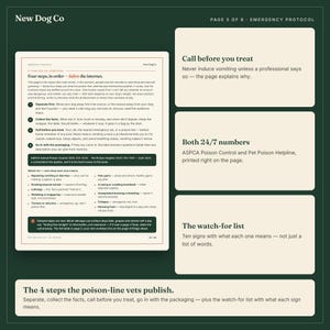 May include: A dark green informational document titled New Dog Co Page 5 of 6 Emergency Protocol. It features four steps for pet owners to follow if a dog eats something, including contact numbers for ASPCA Poison Control and Pet Poison Helpline.