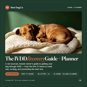 Op de afbeelding: Een digitale gids en planner getiteld The IVDD Recovery Guide + Planner van New Dog Co. Het document toont een bruine teckel die slaapt op een cr&egrave;mekleurige gebreide deken. Het bevat secties voor dierenartsadvies en 54 pagina's in totaal.