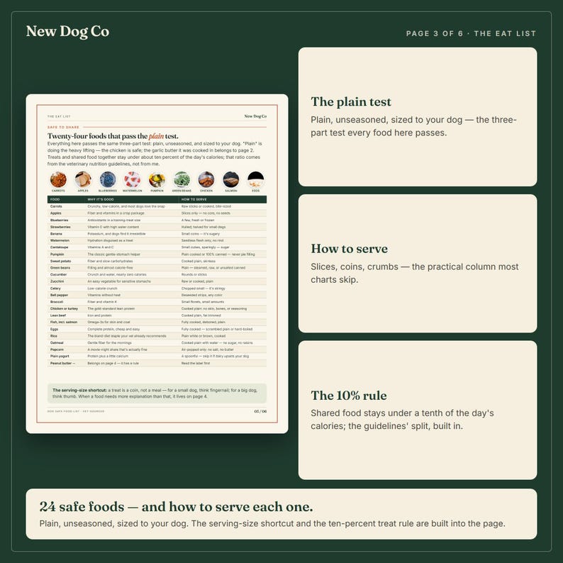 May include: A dark green informational page titled New Dog Co Page 3 of 6 The Eat List. It features a table listing twenty-four safe foods for dogs, including carrots, apples, and salmon, with columns for why it is good and how to serve.