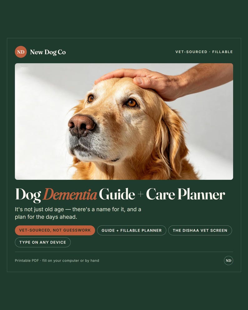 Pu&ograve; includere: Una guida digitale e un pianificatore di cure intitolato Dog Dementia Guide + Care Planner di New Dog Co. Il documento verde scuro include testo tra cui Vet-Sourced, Not Guesswork, Guide + Fillable Planner, The Dishaa Vet Screen e Type On Any Device.