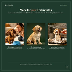 May include: A dark green informational graphic titled Made for your first months. It features three photos: a dachshund with a blue bowl, a yellow labrador puppy, and a beagle in a wire crate. Text includes New Dog Co and Puppy Foundations Bundle.