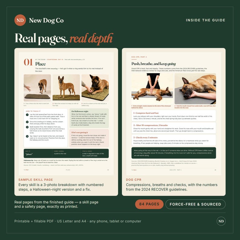 May include: A digital guide titled New Dog Co featuring two pages with text and photographs. The left page shows a dog training skill with numbered steps. The right page illustrates dog CPR techniques with clear instructions and photos.