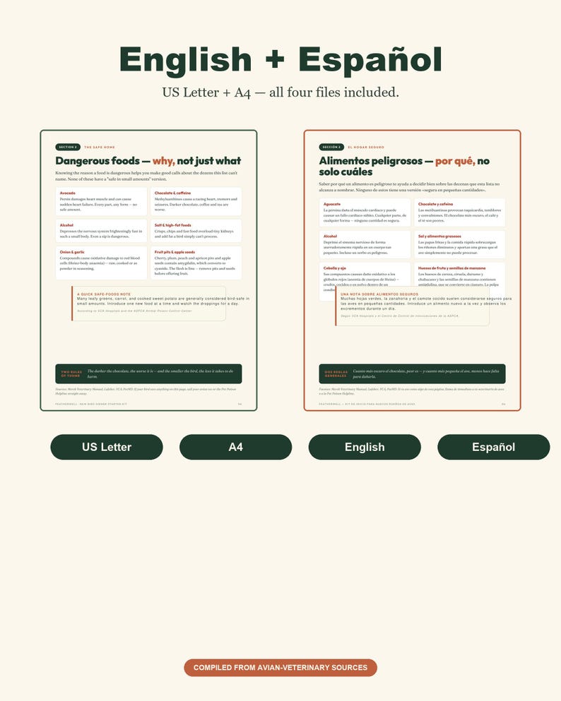 New Bird Owner Starter Kit | Bird Care Guide, Safety Checklist (Digital Download) image 6