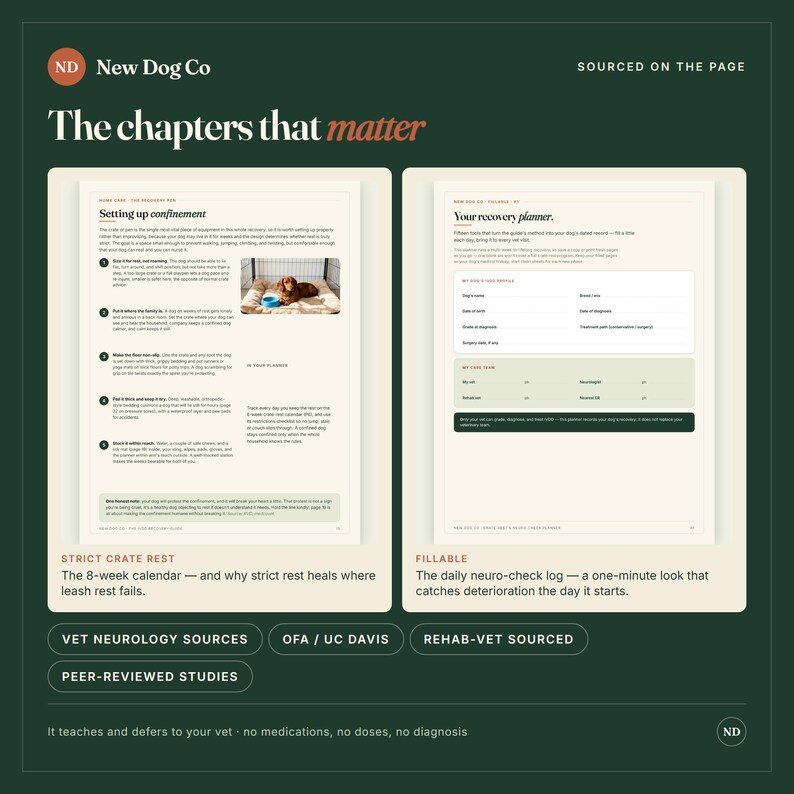 Op de afbeelding: Een donkergroene informatieve afbeelding getiteld The chapters that matter, met twee witte pagina's uit een herstelgids. De linkerpagina beschrijft benchrust met een hondenfoto, de rechterpagina toont een invulbaar herstelplanformulier.