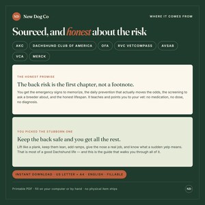 May include: A dark green informational graphic titled Sourced, and honest about the risk by New Dog Co. It features text sections titled The Honest Promise and You Picked The Stubborn One, detailing Dachshund health, back safety, and care guidelines.