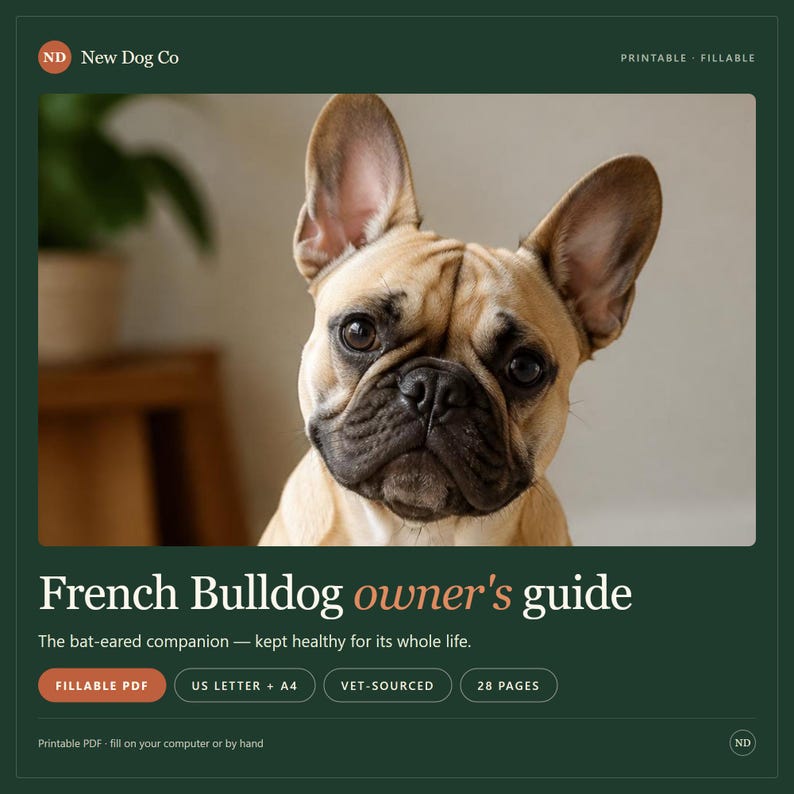 K&ouml;nnte beinhalten: Ein digitaler Ratgeber f&uuml;r Franz&ouml;sische Bulldoggen mit einem beigen Hund mit gro&szlig;en Ohren. Das Dokument enth&auml;lt den Text: New Dog Co, French Bulldog owner's guide, The bat-eared companion, Fillable PDF, US Letter + A4, Vet-sourced, 28 pages.